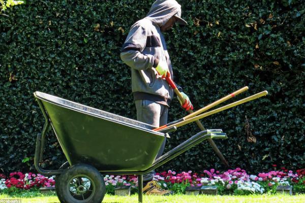 Landscape Maintenance